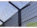 fence-Lily-razor-wire